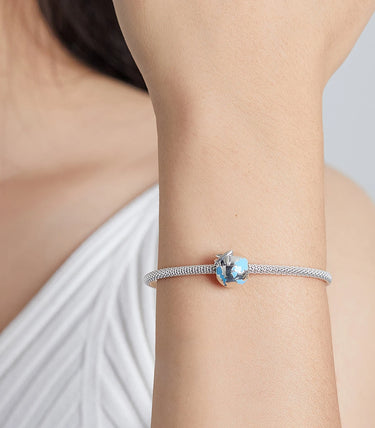 Сребърен талисман „Да обиколим света“