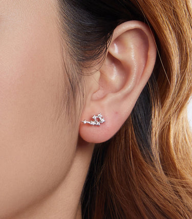 Сребърни обеци "Близнаци"