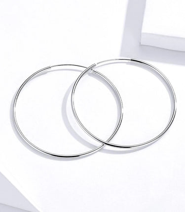 Сребърни обеци „Essence“