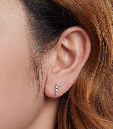 Сребърни обеци "Лъв"