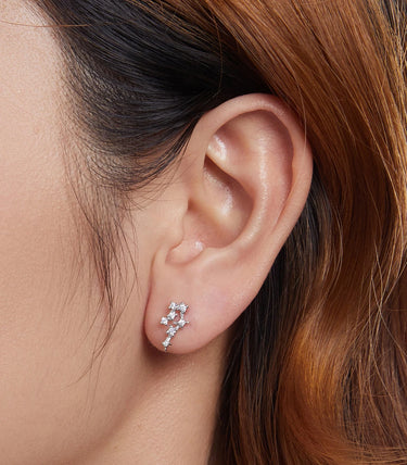 Сребърни обеци "Рак"