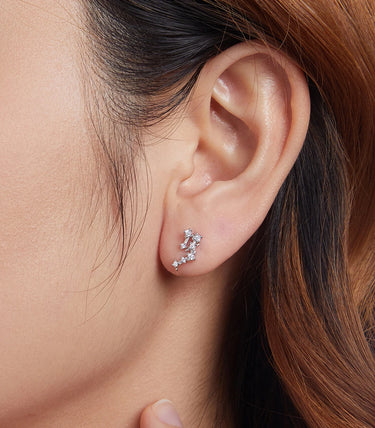 Сребърни обеци "Водолей"