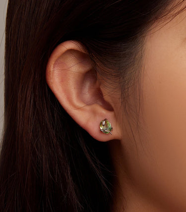 Сребърни обеци „Забраненият плод“